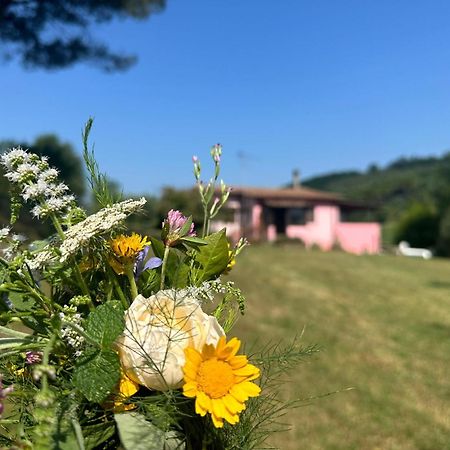 Agriturismo Campolungo Sant'Ermo Exterior photo